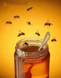 miel de abeja